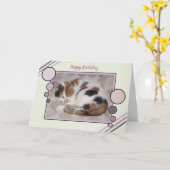 Katze schlief eingeschlafen Foto grün lila Geburts Karte (Gelbe Blume)