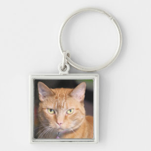 Katze Schlüsselanhänger