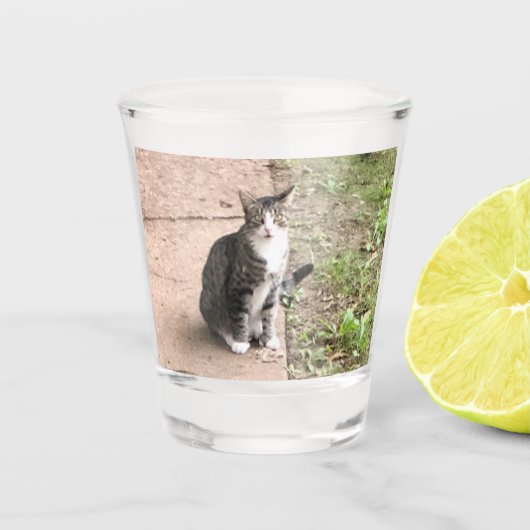 Katze Schnapsglas (Vorderseite)
