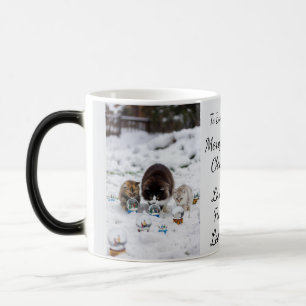 Katze Schneekugel, Bild Namen Text, Anpassen, Verwandlungstasse