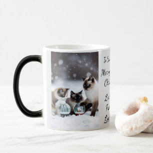 Katze Schneekugel, Bild Namen Text, Anpassen, Verwandlungstasse