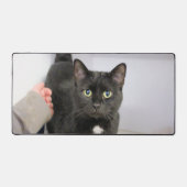 Katze Schreibtischunterlage (Vorderseite)