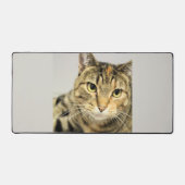 Katze Schreibtischunterlage (Vorderseite)