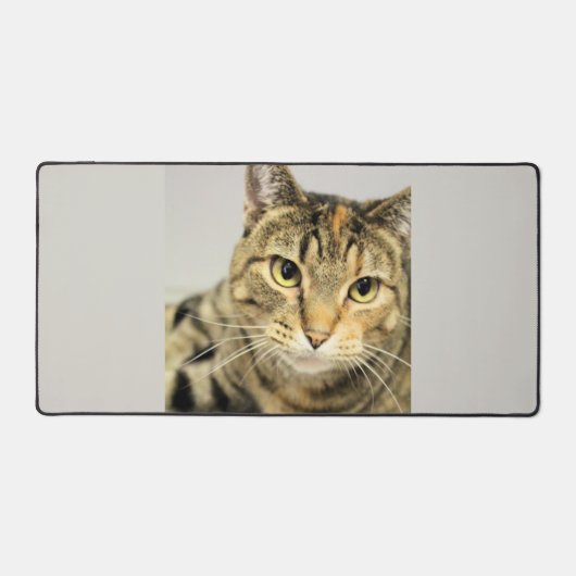 Katze Schreibtischunterlage (Vorderseite)