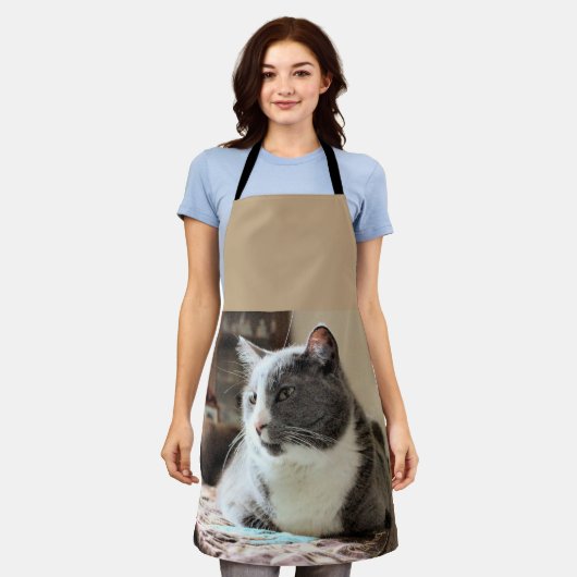 Katze Schürze (Getragen)