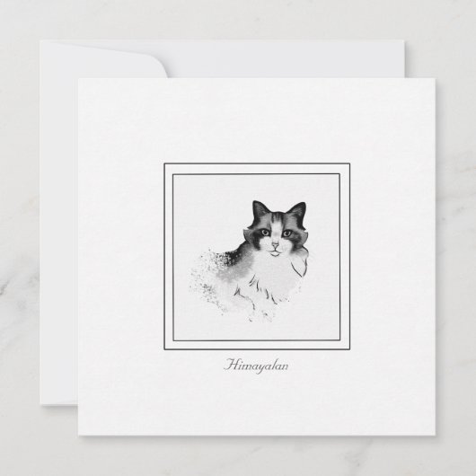 Katze schwarz, grau und weiß Himalayan Katze - Fla Mitteilungskarte (Vorderseite)