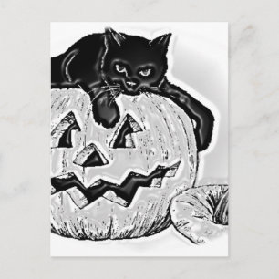 Katze Schwarz Orange Kürbis Halloween Postkarte