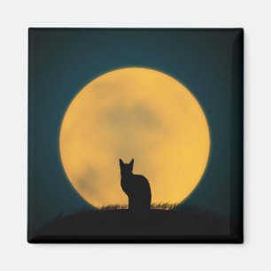 Katze Schwarze Katze Vollmond Halloween Tierkätzch Magnet