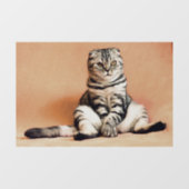 KATZE-SCOTTISH-FALLE-TABBY-Fensterklammer Fensteraufkleber (Blatt)