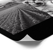 Katze Selfie mit Alien Ufo Funny Cat Geschenke für Poster (Ecke)