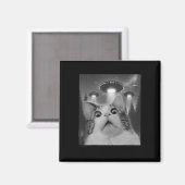 Katze Selfie mit Ufos Magnet (Vorderseite/Rückseite)