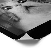 Katze Selfie mit Ufos Poster (Ecke)