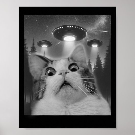 Katze Selfie mit Ufos Poster (Vorne)