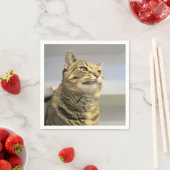 Katze Serviette (Beispiel)