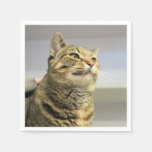 Katze Serviette (Vorderseite)