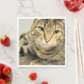 Katze Serviette (Beispiel)