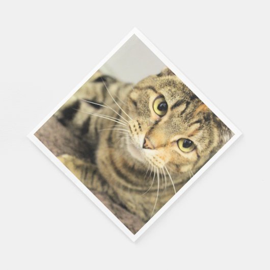 Katze Serviette (Ecke)