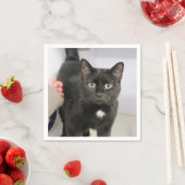 Katze Serviette (Beispiel)