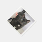 Katze Serviette (Ecke)