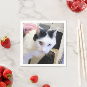 Katze Serviette (Beispiel)