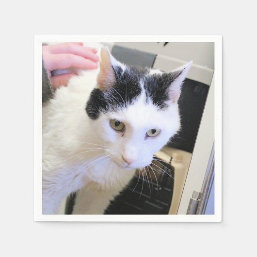 Katze Serviette (Vorderseite)