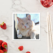 Katze Serviette (Beispiel)