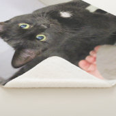 Katze Sherpadecke (3/4)