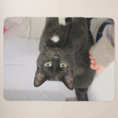 Katze Sherpadecke (Vorderseite (Horizontal))
