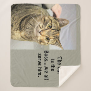 Katze Sherpadecke
