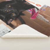 Katze Sherpadecke (3/4)