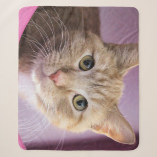 Katze Sherpadecke