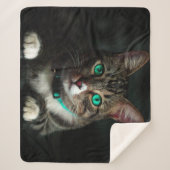 Katze Sherpadecke (Vorderseite)