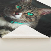 Katze Sherpadecke (3/4)