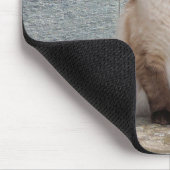 Katze, Siamesen, Tier Mousepad (Ecke)