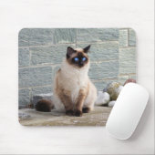Katze, Siamesen, Tier Mousepad (Mit Mouse)