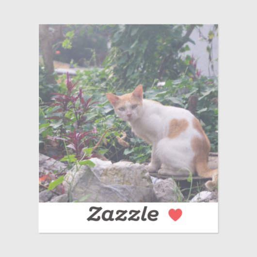 Katze sitzt auf einem Zauber von Steinen Aufkleber (Blatt)