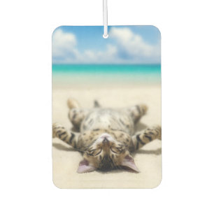 Katze Sonnenbaden am Strand Autolufterfrischer