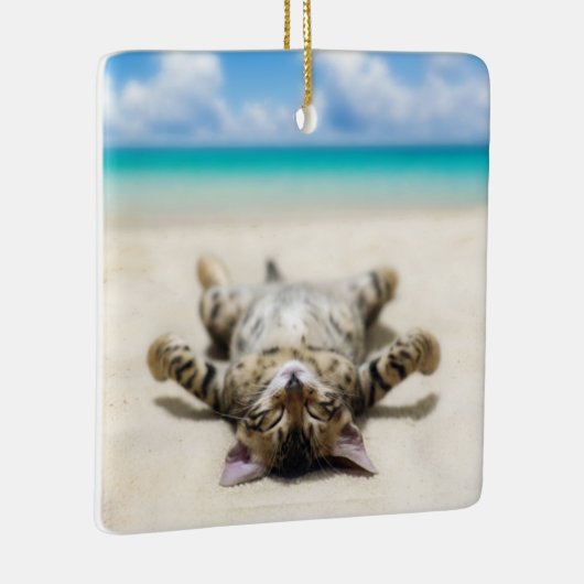 Katze Sonnenbaden am Strand Keramikornament (Rechts)