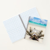 Katze Sonnenbaden am Strand   Notizblock (Innenseite)