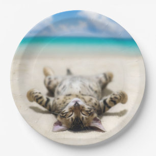 Katze Sonnenbaden am Strand Pappteller