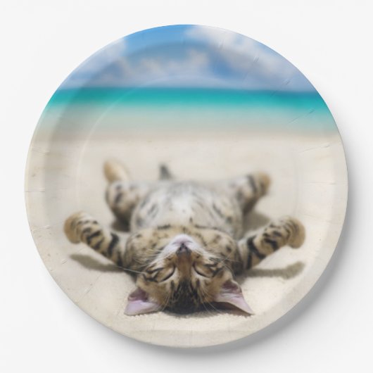 Katze Sonnenbaden am Strand Pappteller (Vorderseite)