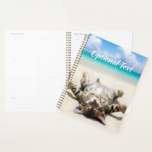 Katze Sonnenbaden am Strand Planer (Anzeige)