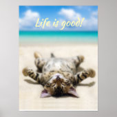 Katze Sonnenbaden am Strand Poster (Vorne)