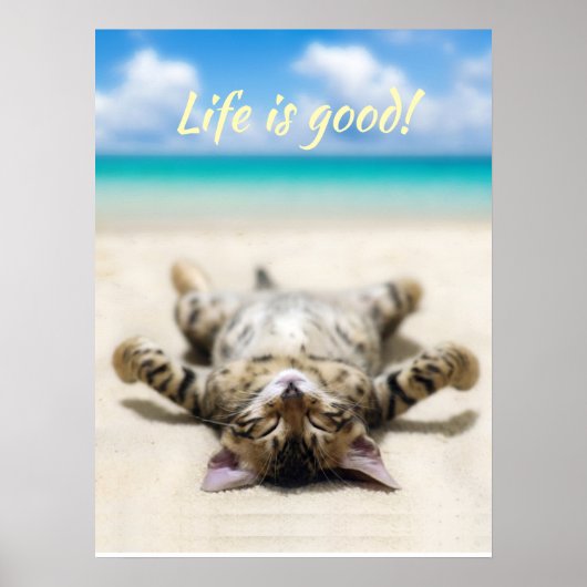 Katze Sonnenbaden am Strand Poster (Vorne)