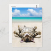 Katze Sonnenbaden am Strand Postkarte (Vorne/Hinten)
