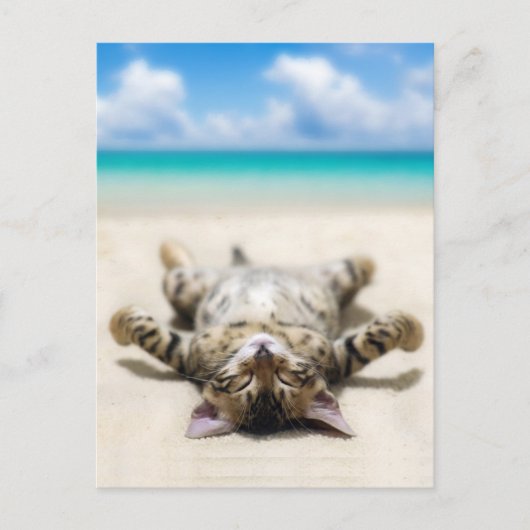 Katze Sonnenbaden am Strand Postkarte (Vorderseite)