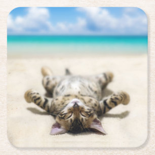 Katze Sonnenbaden am Strand Rechteckiger Pappuntersetzer