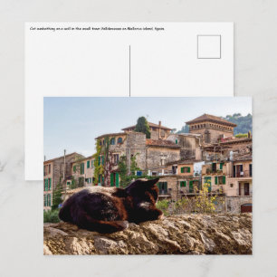 Katze sonnt sich auf einer Mauer - Valldemossa, Ma Postkarte
