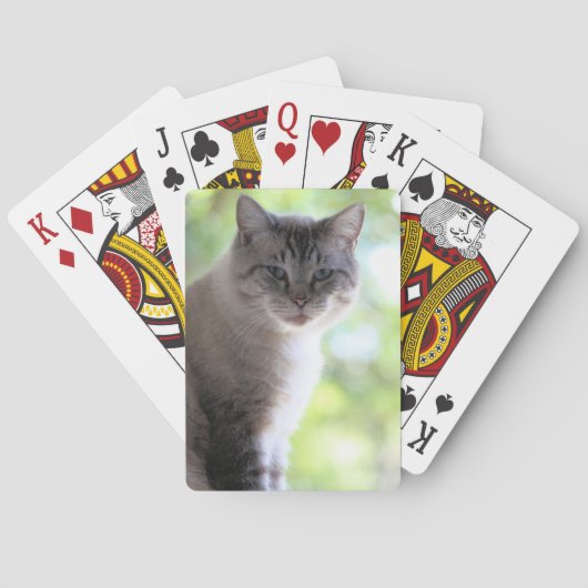 Katze Spielkarten (Rückseite)