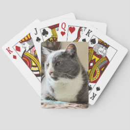 Katze Spielkarten